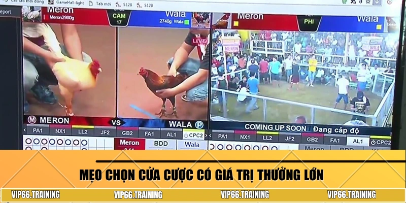 Mẹo chọn cửa cược có giá trị thưởng lớn 